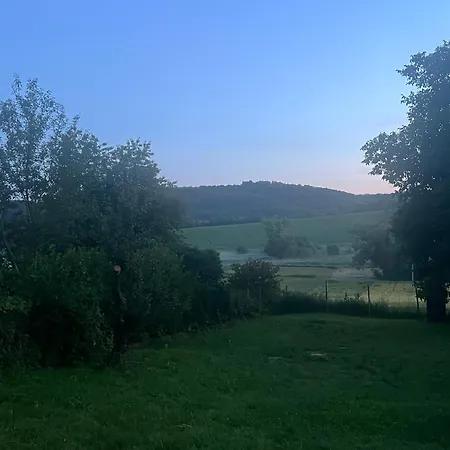 Bedi *